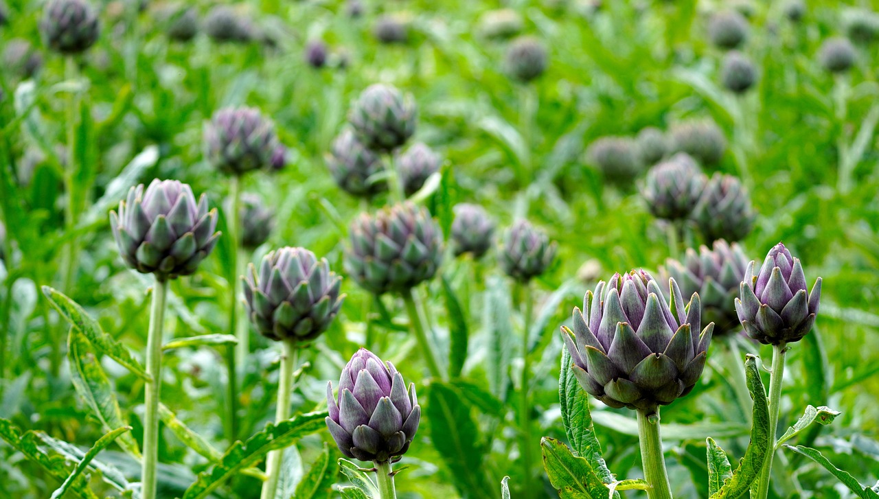 The Best Way to Cook and Serve Artichokes